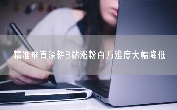 精准垂直深耕B站涨粉百万难度大幅降低
