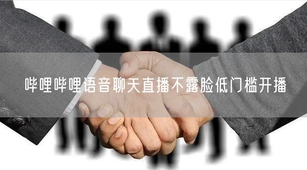 哔哩哔哩语音聊天直播不露脸低门槛开播