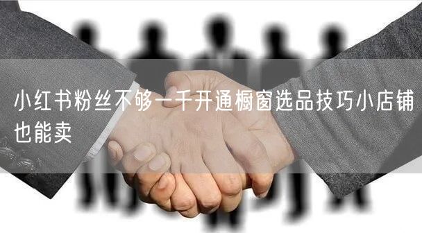 小红书粉丝不够一千开通橱窗选品技巧小店铺也能卖