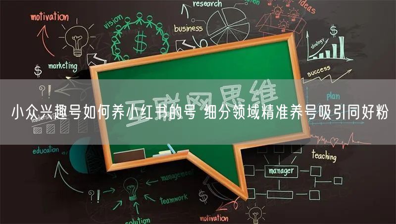 小众兴趣号如何养小红书的号 细分领域精准养号吸引同好粉