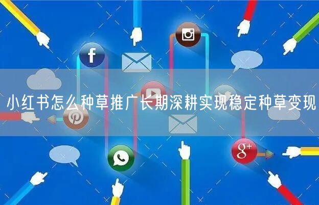 小红书怎么种草推广长期深耕实现稳定种草变现