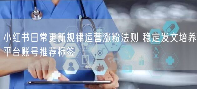 小红书日常更新规律运营涨粉法则 稳定发文培养平台账号推荐标签