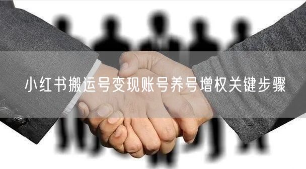 小红书搬运号变现账号养号增权关键步骤