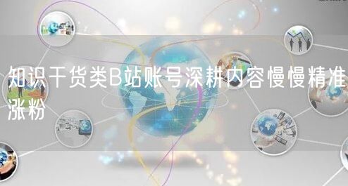 知识干货类B站账号深耕内容慢慢精准涨粉
