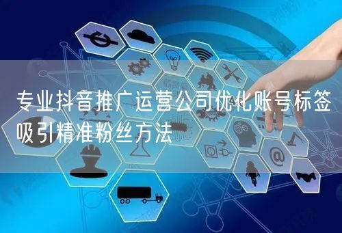 专业抖音推广运营公司优化账号标签吸引精准粉丝方法