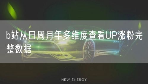 b站从日周月年多维度查看UP涨粉完整数据