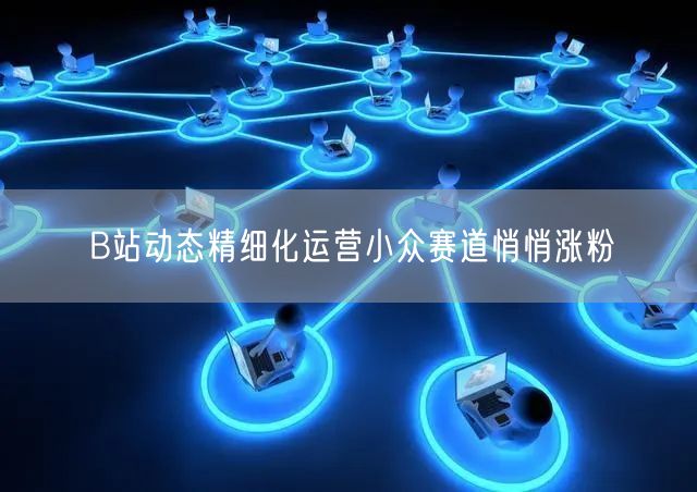 B站动态精细化运营小众赛道悄悄涨粉