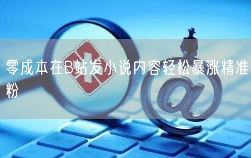 零成本在B站发小说内容轻松暴涨精准粉