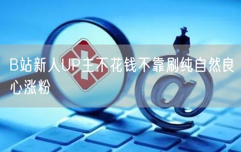 B站新人UP主不花钱不靠刷纯自然良心涨粉