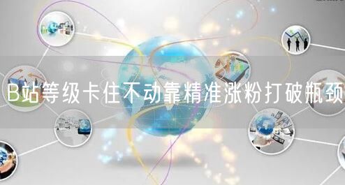 B站等级卡住不动靠精准涨粉打破瓶颈