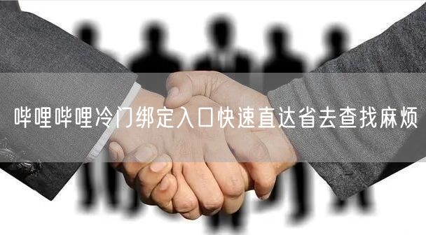 哔哩哔哩冷门绑定入口快速直达省去查找麻烦