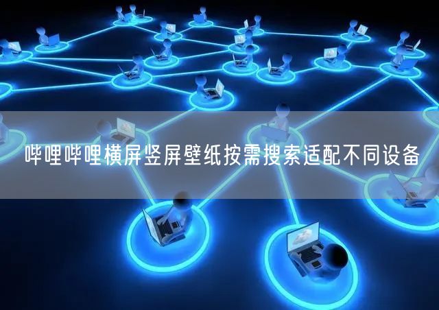 哔哩哔哩横屏竖屏壁纸按需搜索适配不同设备