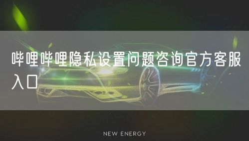 哔哩哔哩隐私设置问题咨询官方客服入口