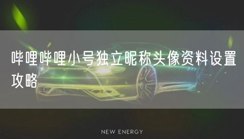 哔哩哔哩小号独立昵称头像资料设置攻略