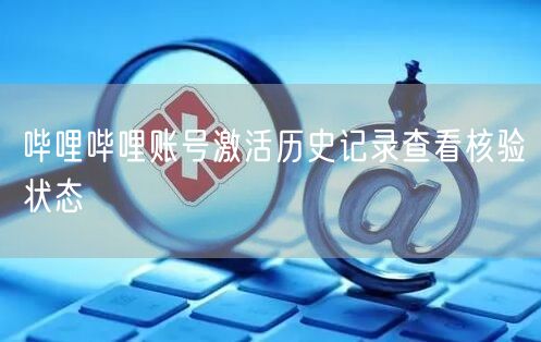 哔哩哔哩账号激活历史记录查看核验状态
