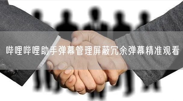 哔哩哔哩助手弹幕管理屏蔽冗余弹幕精准观看